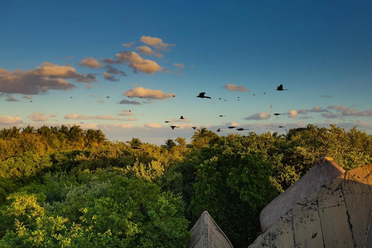 Mamasan Treehouses & Cabins Tulum 4*,