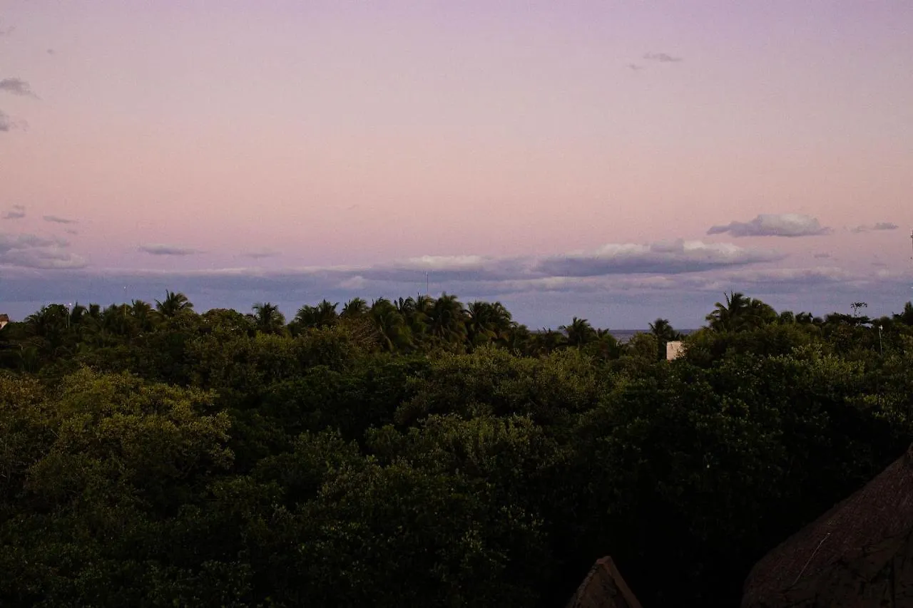 ホテル Mamasan Treehouses & Cabins トゥルム